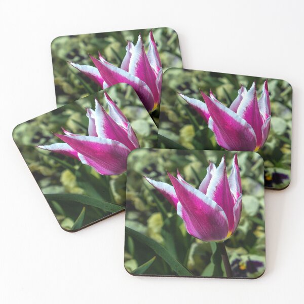 Item preview, Tulip - White fringe on Purple designed and sold by DPalmer.