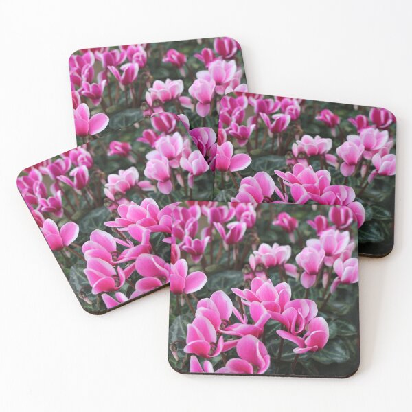 Item preview, Pink Cyclamen designed and sold by pinkal.