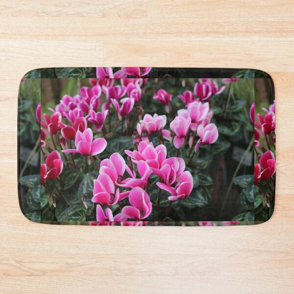 Item preview, Pink Cyclamen designed and sold by pinkal.