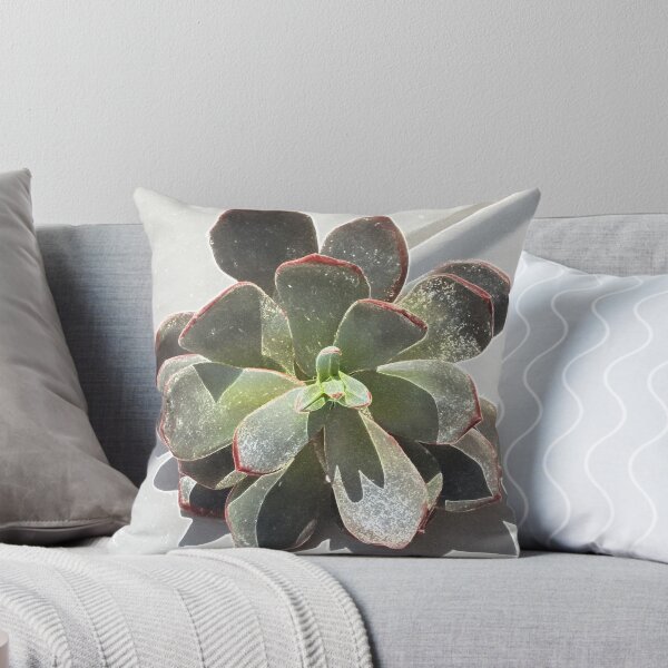 Item preview, Succulent - Echeveria - Sugar Paste designed and sold by TASHHOFER.