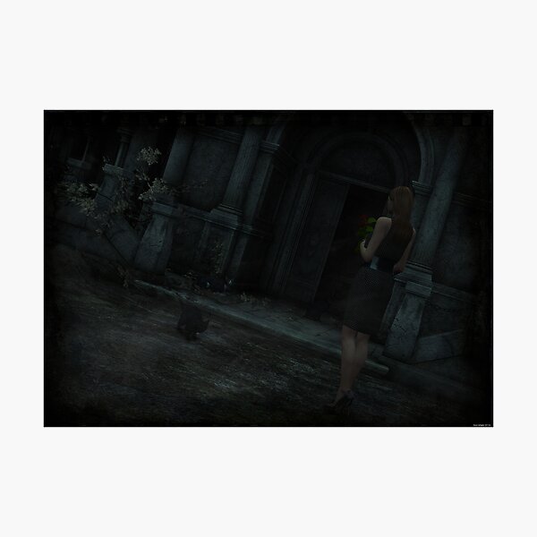 ..The Tomb, part 1.. Photographic Print