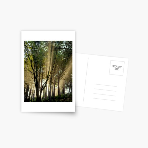 The Awakening Postcard