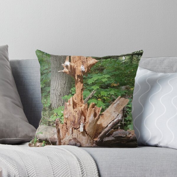 Item preview, Unusual Tree Stump designed and sold by melzie3.