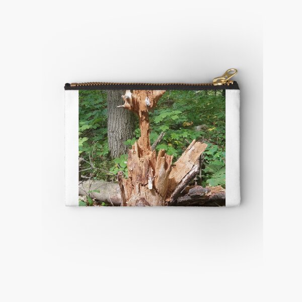 Item preview, Unusual Tree Stump designed and sold by melzie3.