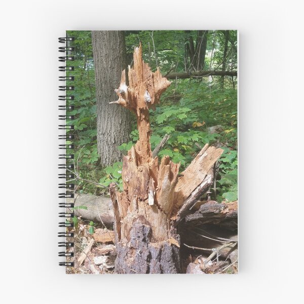 Item preview, Unusual Tree Stump designed and sold by melzie3.