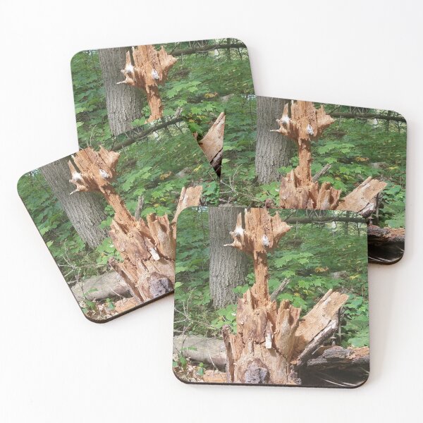 Item preview, Unusual Tree Stump designed and sold by melzie3.