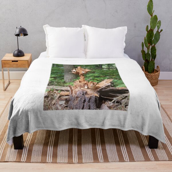 Item preview, Unusual Tree Stump designed and sold by melzie3.