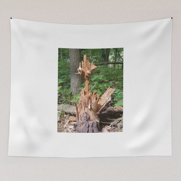 Item preview, Unusual Tree Stump designed and sold by melzie3.
