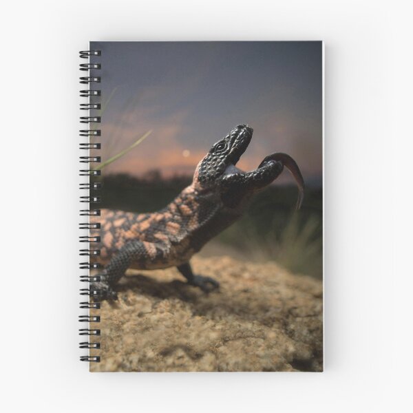 Item preview, A Gila Monster and the rising moon designed and sold by CNZdenek.