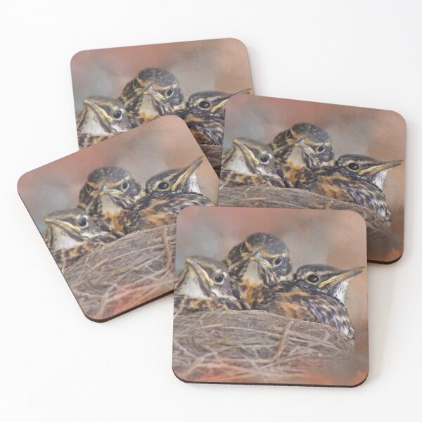 Item preview, Baby Robins designed and sold by Elisabeth Lucas.
