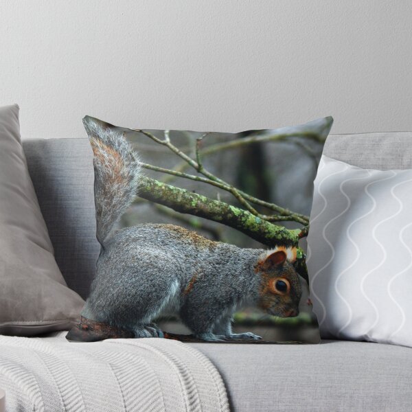 Item preview, Squirrel Tales (7626) designed and sold by sensameleon.
