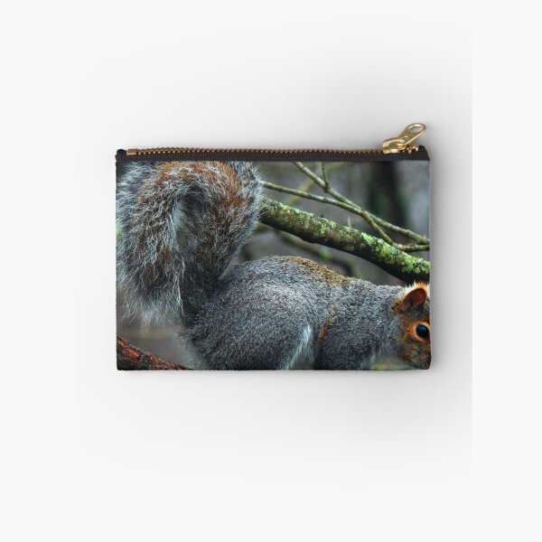 Item preview, Squirrel Tales (7626) designed and sold by sensameleon.