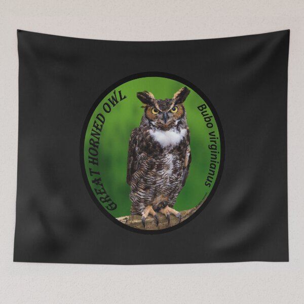 Item preview, Great Horned Owl - Bubo virginianus designed and sold by 28TEES.