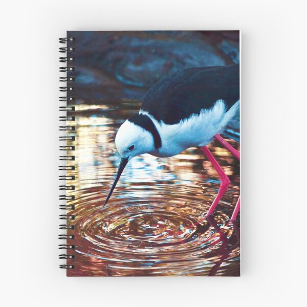 Item preview, Black Winged Stilt designed and sold by Mostly Mindy.