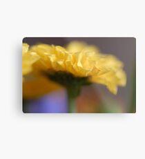 Yellow Dreams Metal Print