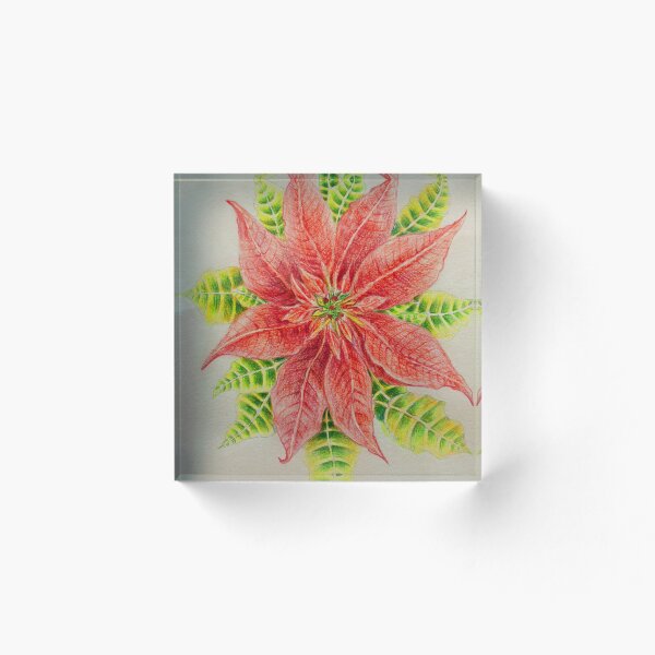 Aperçu de l'œuvre Poinsettia créée et vendue par Evone.