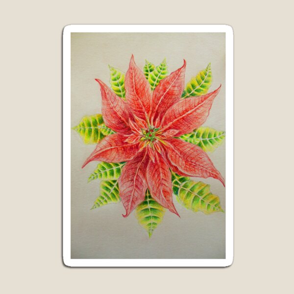 Item preview, Poinsettia designed and sold by Evone.