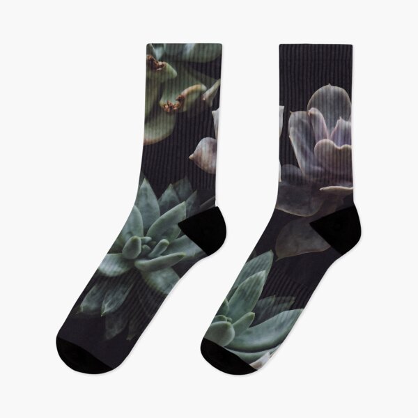 Item preview, Succulents designed and sold by MaddiLoppnow.