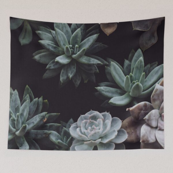 Item preview, Succulents designed and sold by MaddiLoppnow.