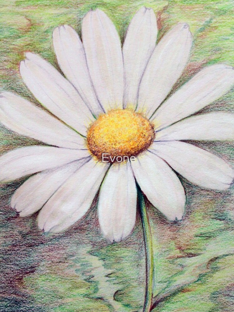 Thumbnail 4 of 4, iPhone Case, Daisy designed and sold by Evone.