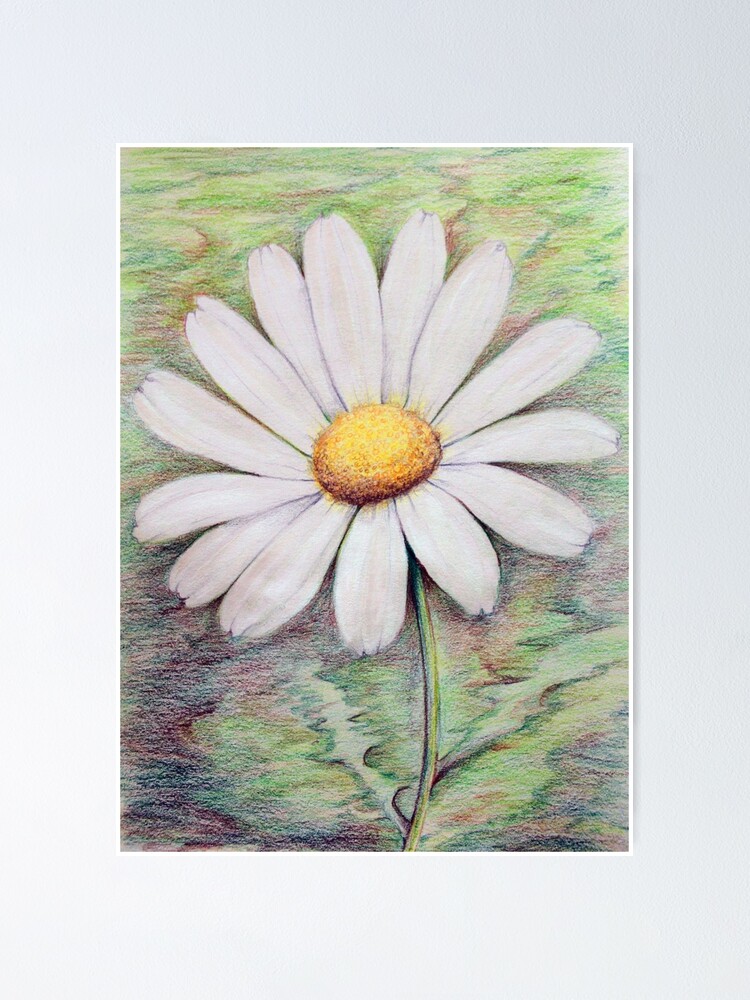 Thumbnail 1 of 3, Poster, Daisy designed and sold by Evone.