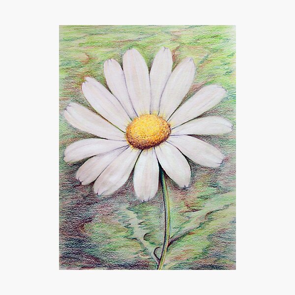 Item preview, Daisy designed and sold by Evone.