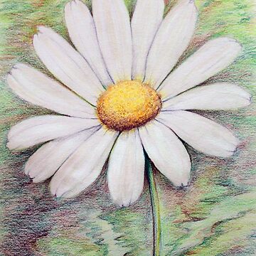 Artwork thumbnail, Daisy by Evone