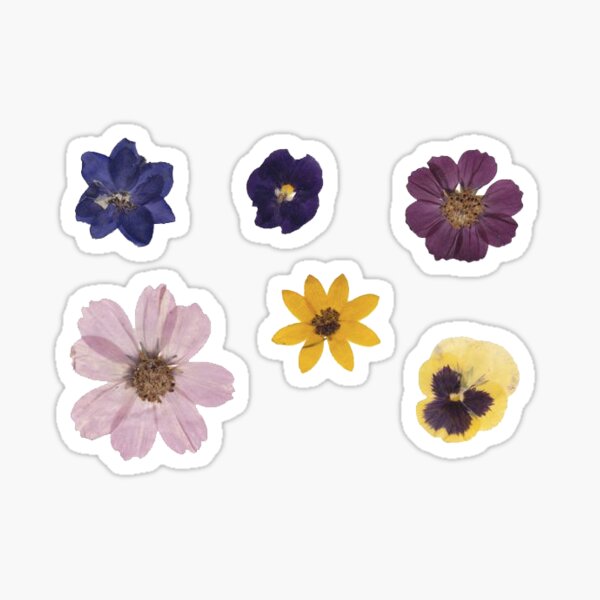 Pressed Flowers Stickers Set, Dried Flowers Stickers Pack, Floral Creative  Journal Sticker Pack, Flower Planner Sticker Flakes 