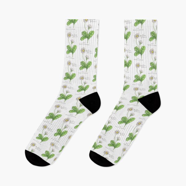 Item preview, Daisy, The Language of Flowers designed and sold by Theodora Gould.