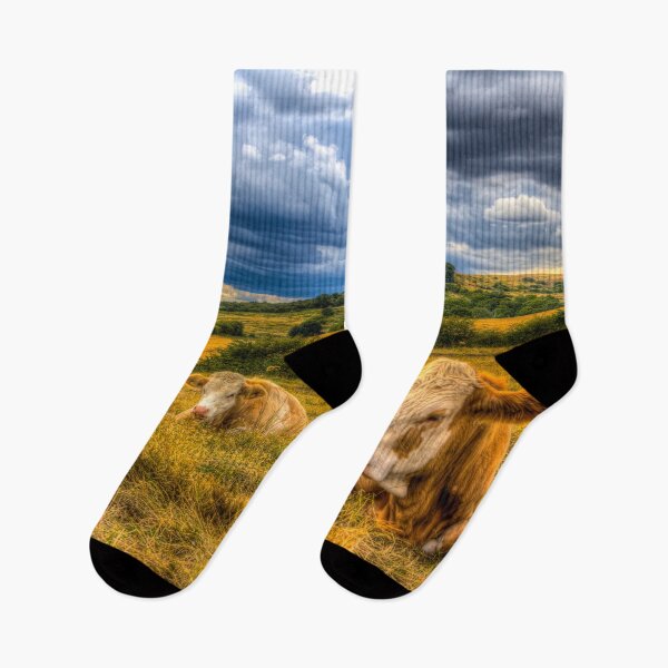 Item preview, Resting Cows designed and sold by Londonimages.