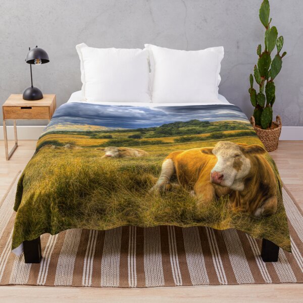 Item preview, Resting Cows designed and sold by Londonimages.