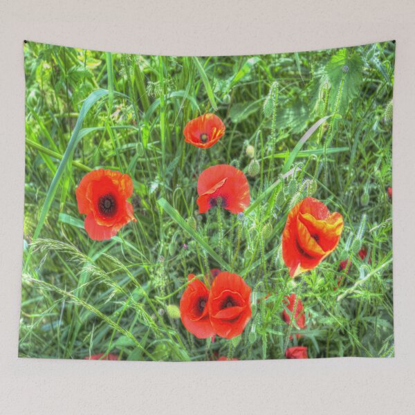 Item preview, Summer Poppy designed and sold by Londonimages.