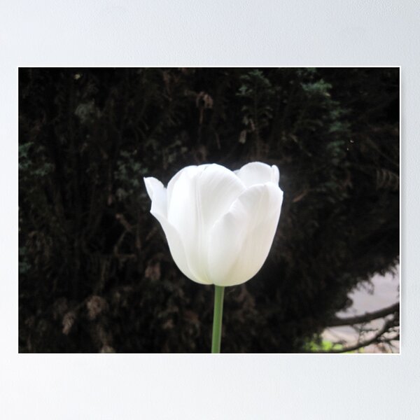 Item preview, Spring collection designed and sold by Mahendra.