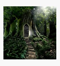 Doorway to Lothlorien Photographic Print