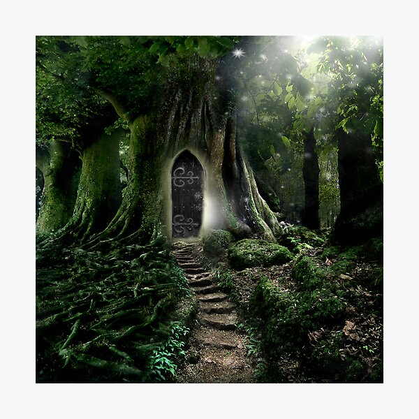 Magical Forest Wall Art for Sale | Redbubble