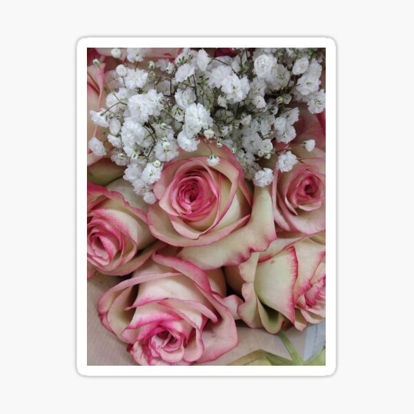 Baby's Breath and Roses Sticker