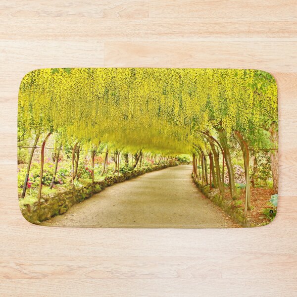 Item preview, LABURNUM ARCH at Bodnant Gardens N.Wales designed and sold by AnnDixon.