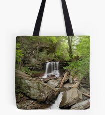 B. Reynolds Falls Tote Bag