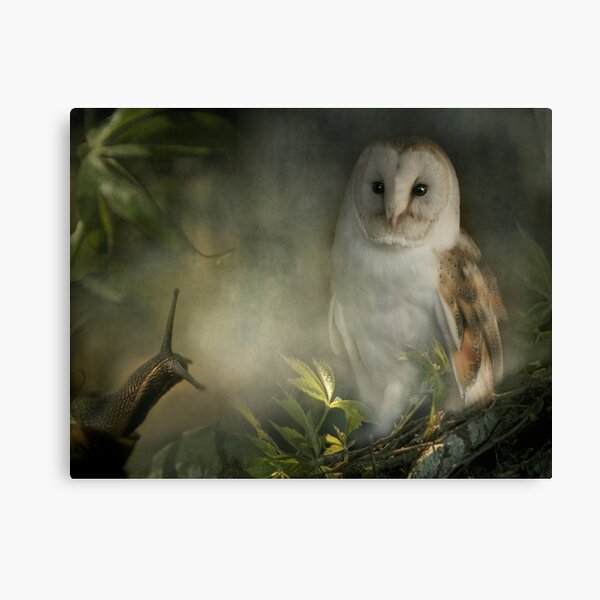 The Owl looked at Brian kindly... Canvas Print