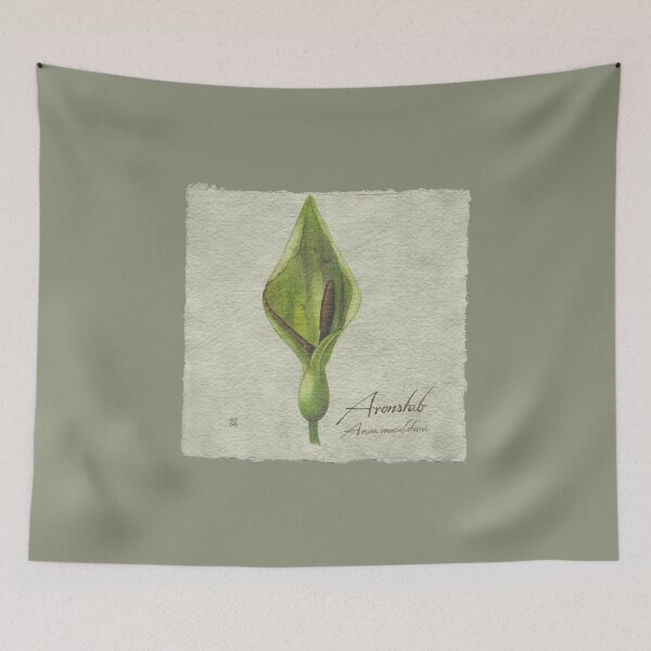 Item preview, Arum in watercolor designed and sold by bettinabk.