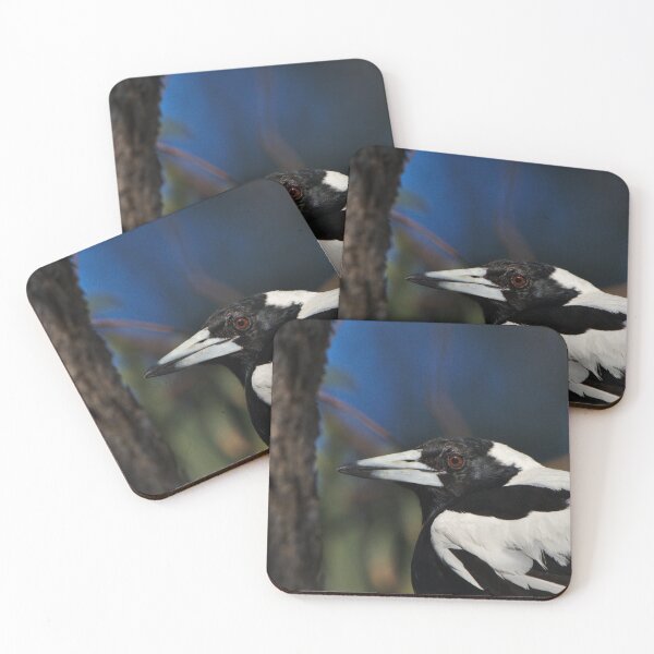 Item preview, Antisocial Magpie That Swooped Me, Head And Shoulders designed and sold by Jason Gilbert.