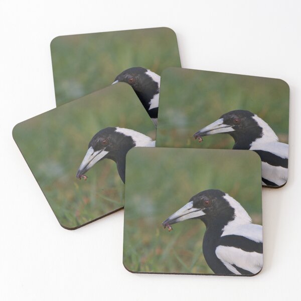 Item preview, A Magpie With An Earwig In Its Beak designed and sold by Jason Gilbert.