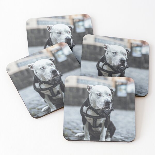 Item preview, Lonely dog designed and sold by wolfgangrainer.