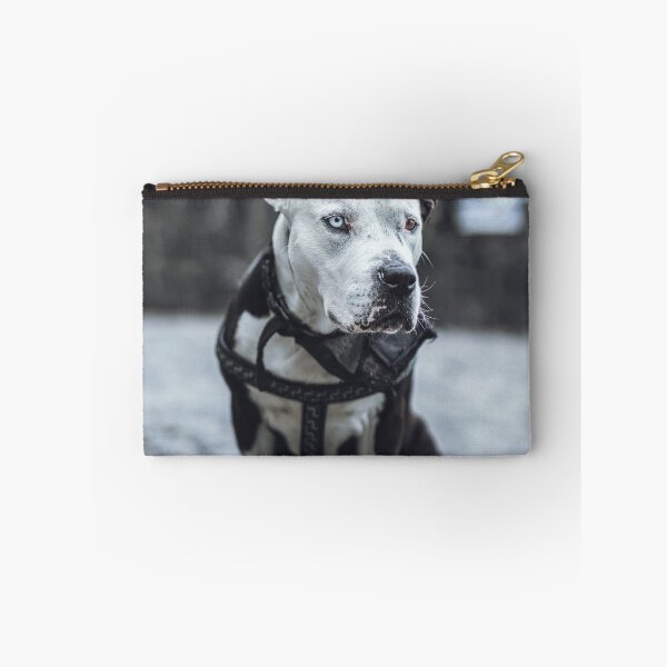 Item preview, Lonely dog designed and sold by wolfgangrainer.
