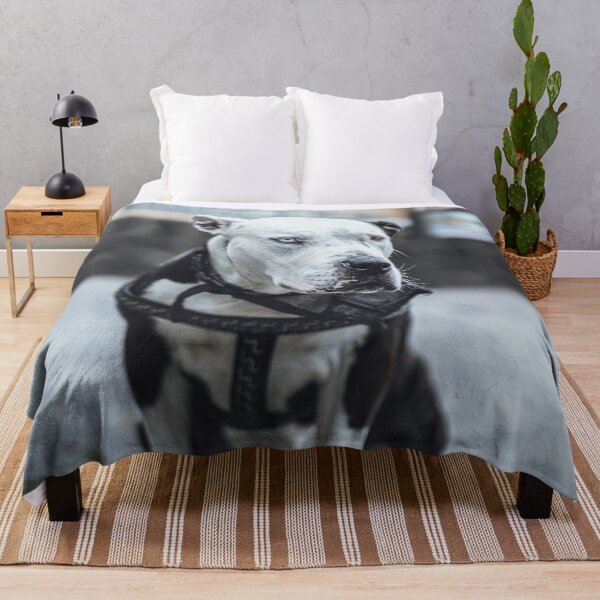 Item preview, Lonely dog designed and sold by wolfgangrainer.