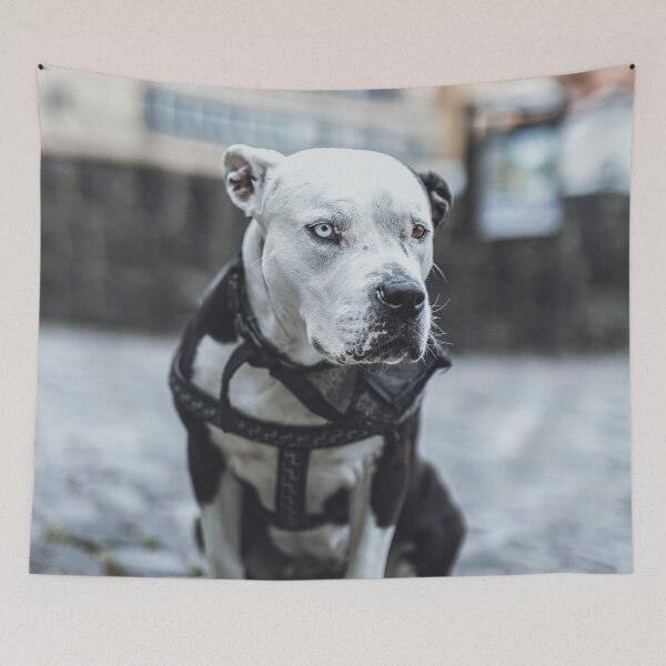 Item preview, Lonely dog designed and sold by wolfgangrainer.