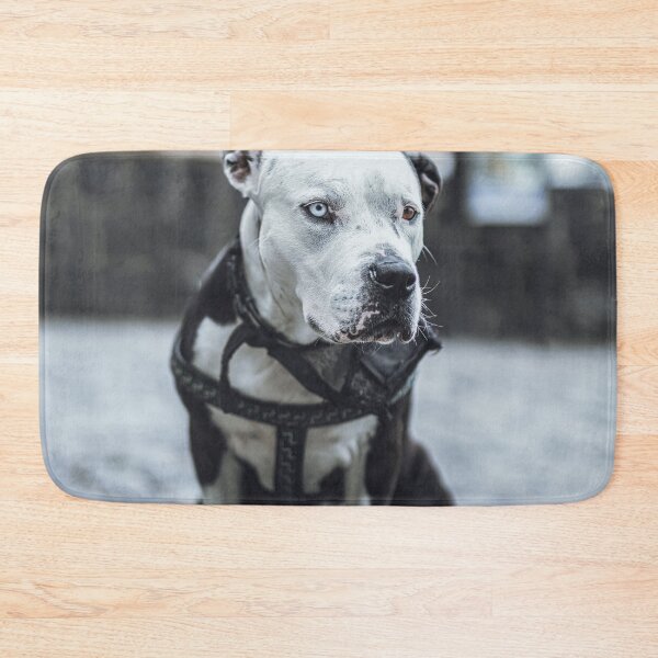 Item preview, Lonely dog designed and sold by wolfgangrainer.