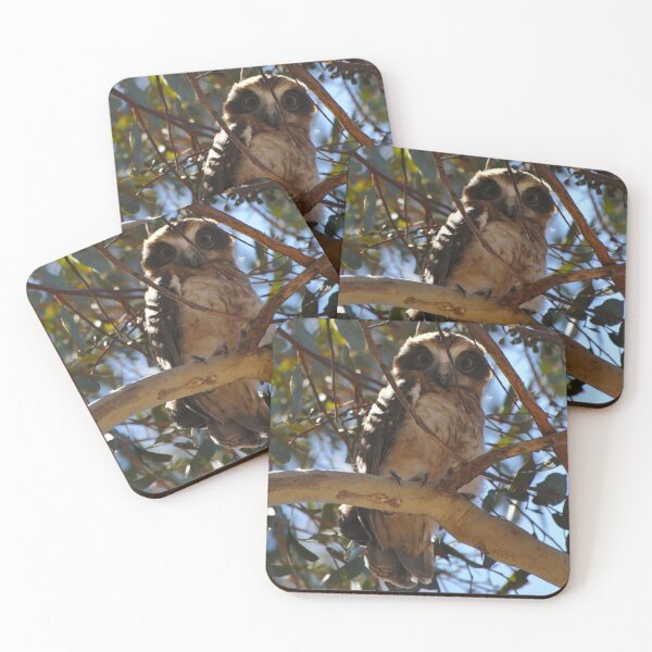 Item preview, An Alert Looking Boobook Owl designed and sold by Jason Gilbert.