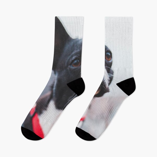 Item preview, Proud French Bulldog designed and sold by wolfgangrainer.