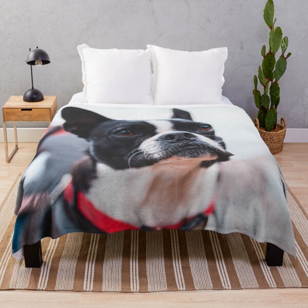 Item preview, Proud French Bulldog designed and sold by wolfgangrainer.